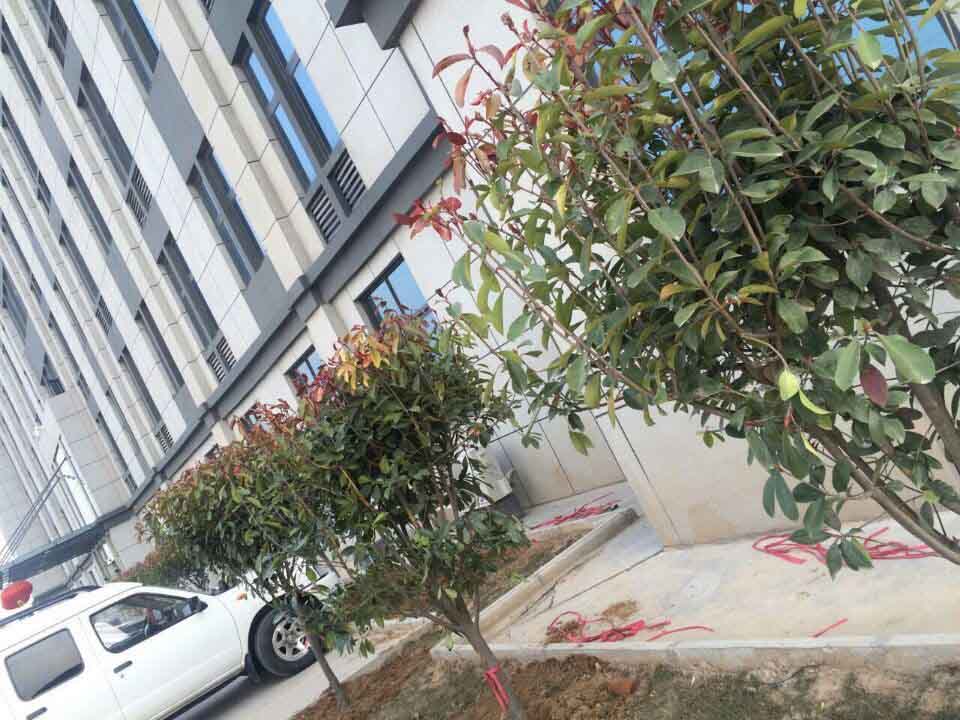 河南天博官方(中国)总部总代理