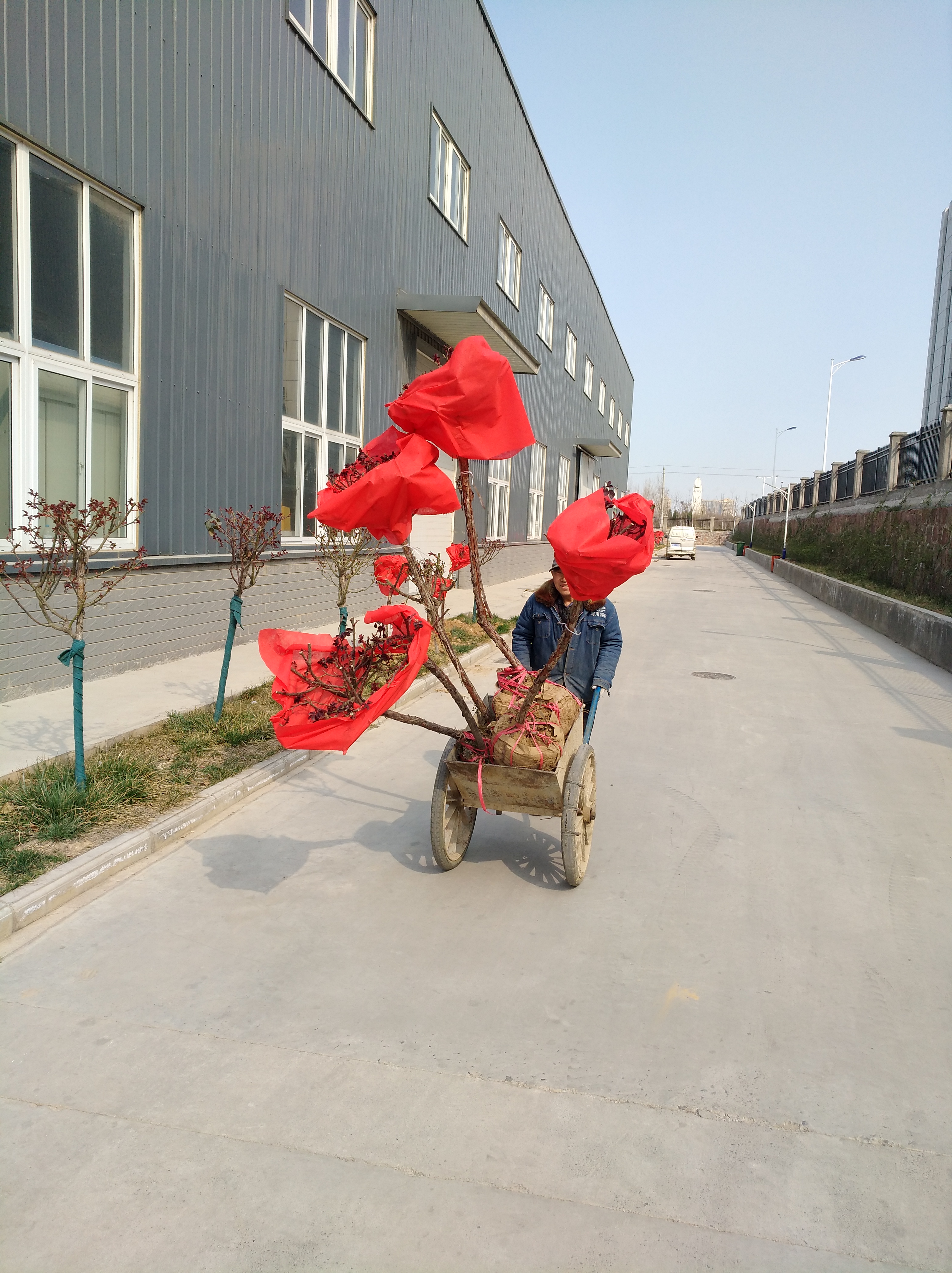 河南路友 天博官方(中国)总部总代理