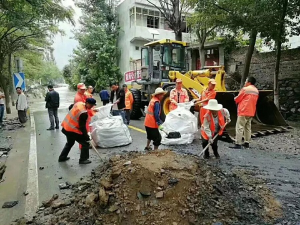 天博官方(中国)总部装载机助力陇南灾区