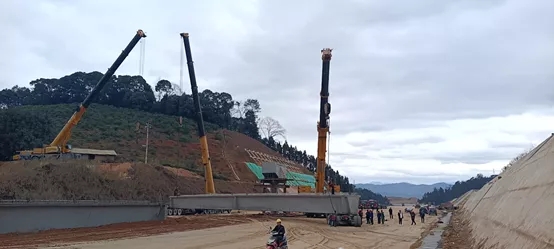 天博官方(中国)总部百吨级起重机边坡防护施工 